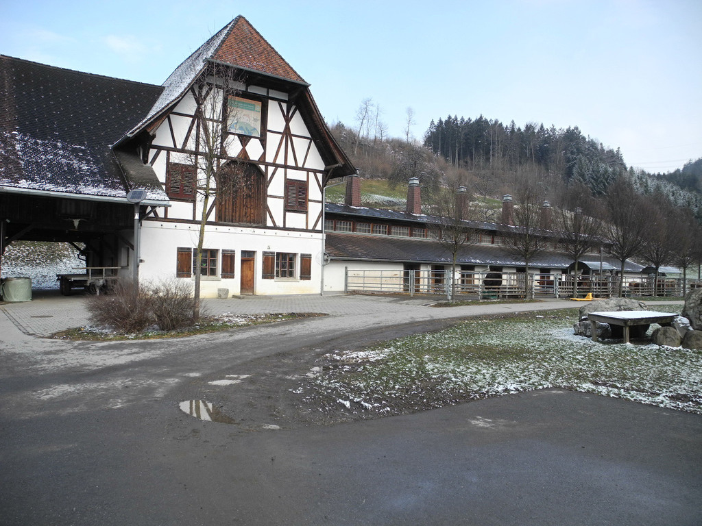 DSCN1205_JPG-1363341019