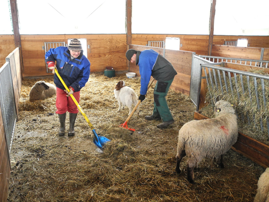 DSCN1201_JPG-1363340951