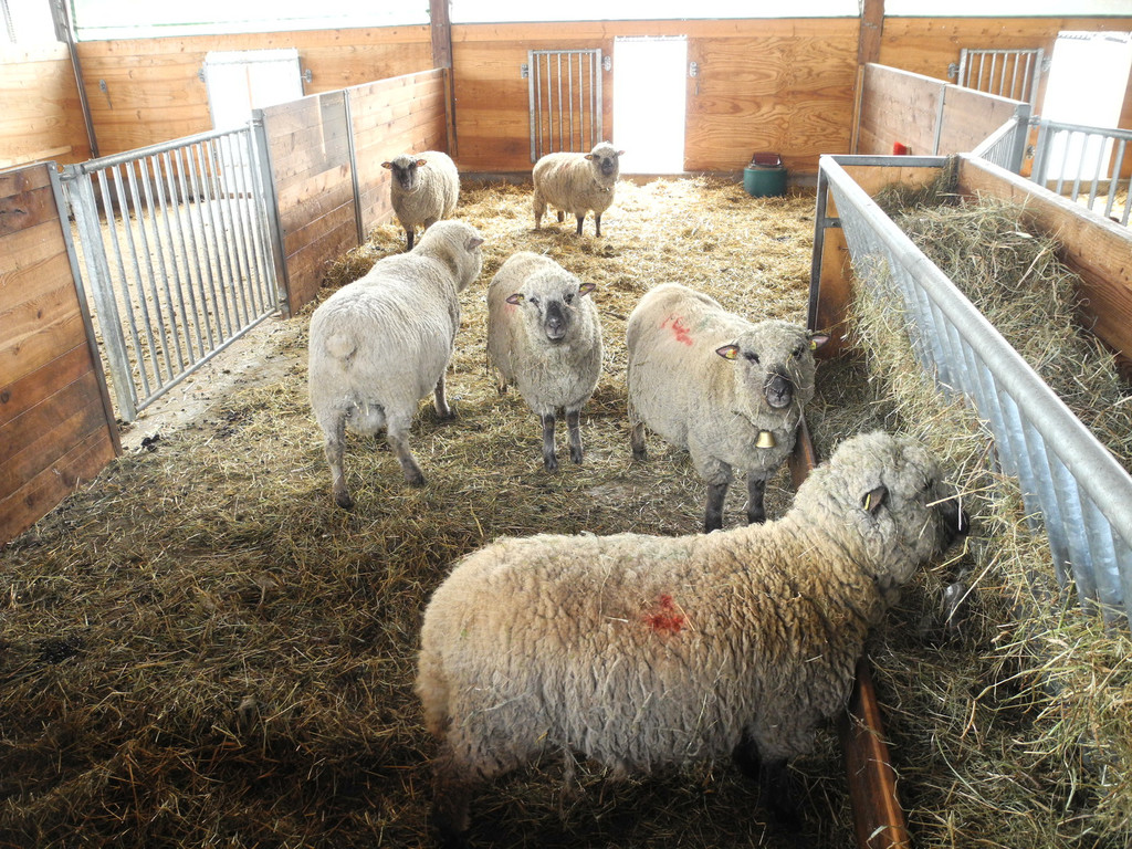 DSCN1191_JPG-1363340761