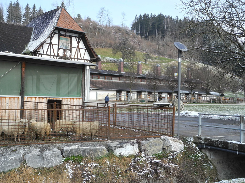 DSCN1215_JPG-1363341155