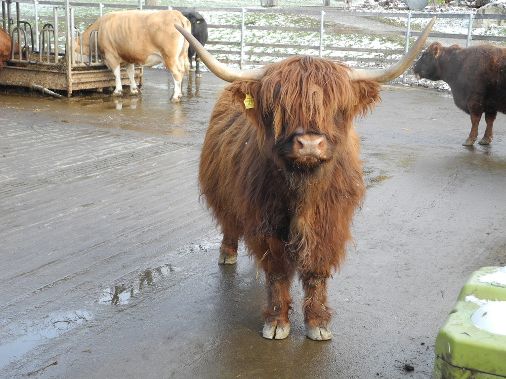 DSCN1206_JPG-1363341047