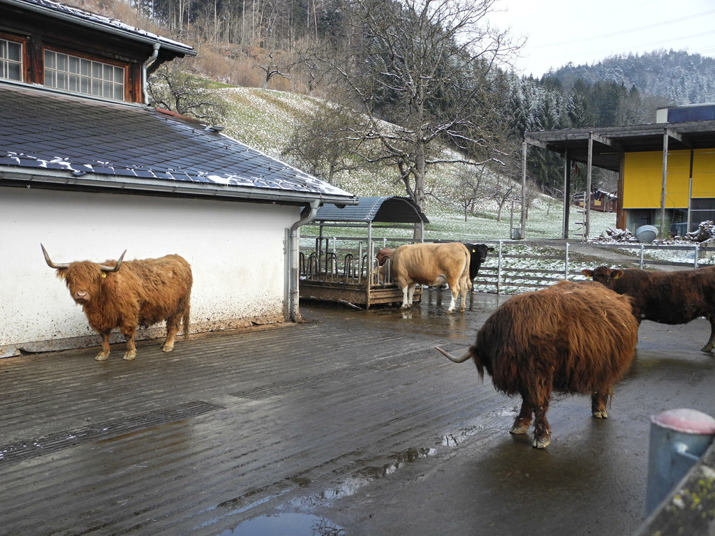 DSCN1196_JPG-1363340854