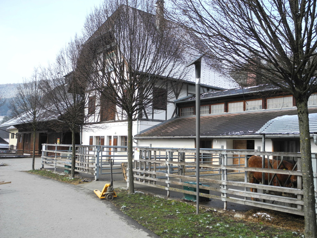 DSCN1199_JPG-1363340915