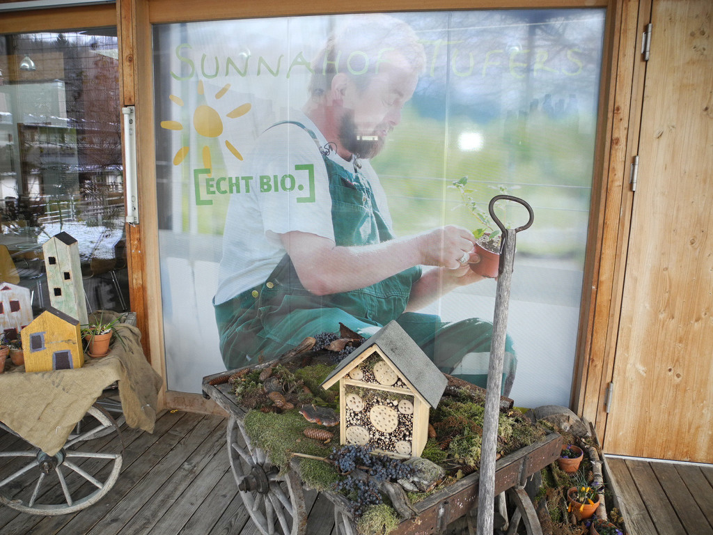 DSCN1207_JPG-1363341068