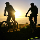 Haibike_action3.jpg