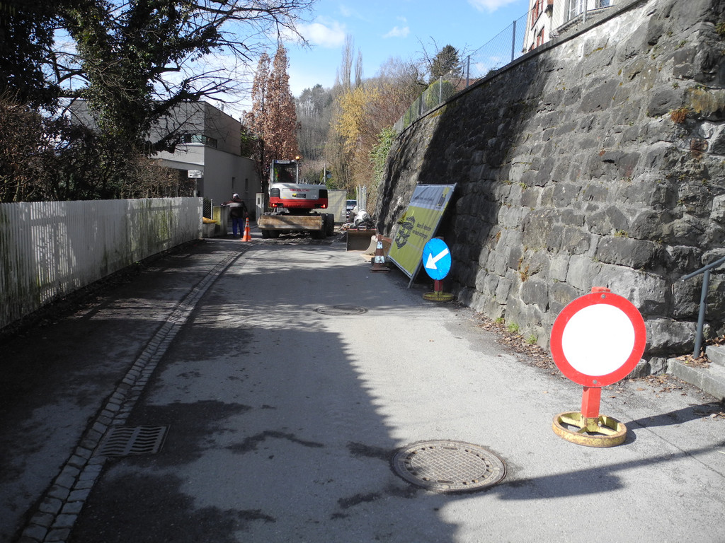 DSCN1188_JPG-1363343897