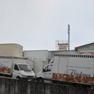 normal_15032013floeckner-2.jpg