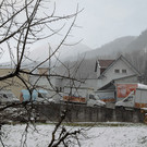 normal_15032013floeckner-5.jpg