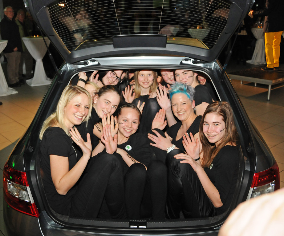 Skoda Hard 71_jpg-1363370542