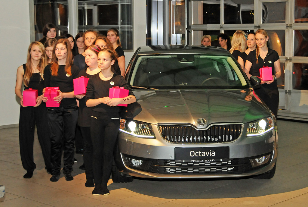 Skoda Hard 91_jpg-1363370596