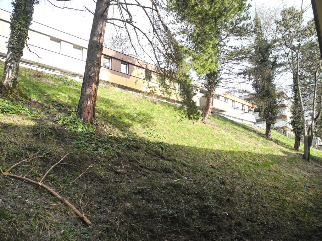 DSCN1163_JPG-1363426595