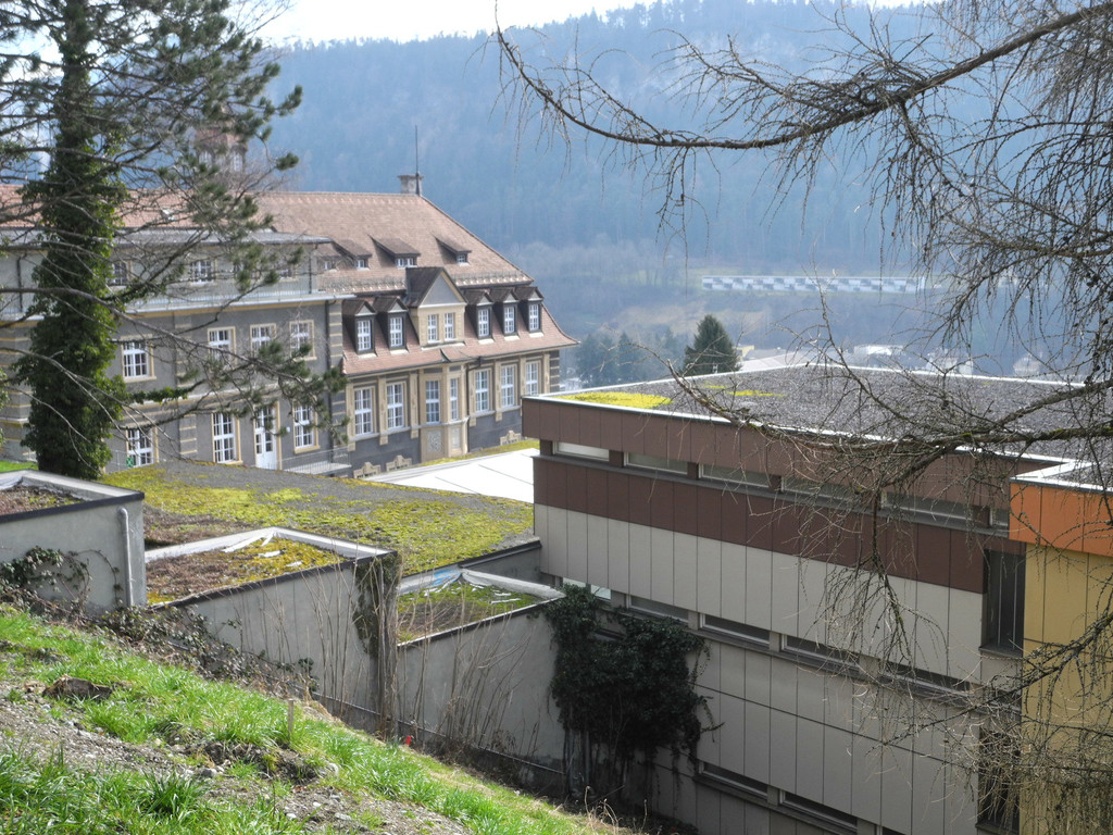 DSCN1168_JPG-1363426664