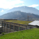 DSCN1173_JPG-1363426775