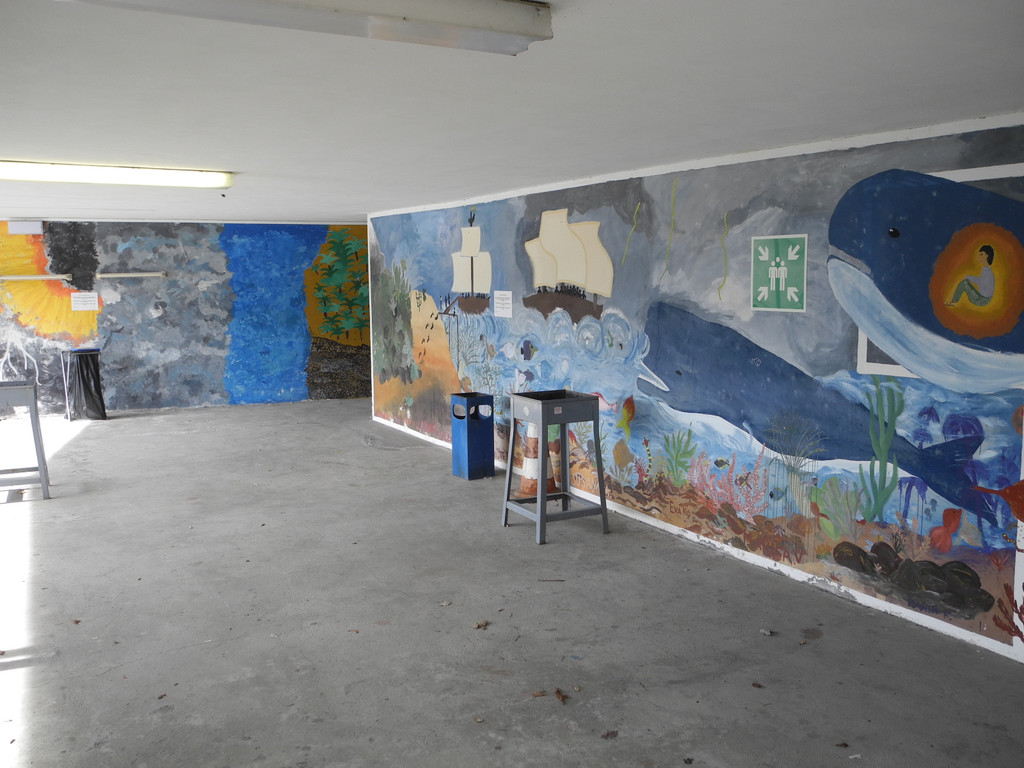 DSCN1174_JPG-1363426813