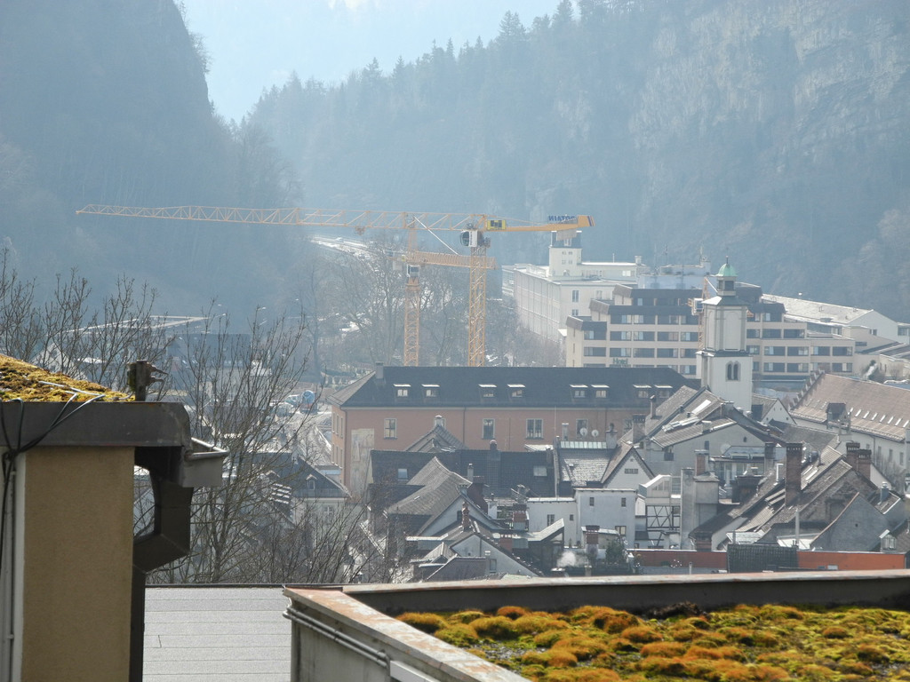 DSCN1175_JPG-1363426829