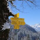 16032013skide01001aktivnews_131.JPG