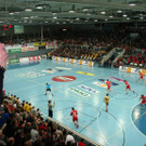 IMG_5082_JPG-1363510238