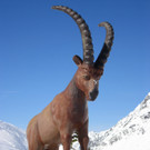 BK_Skisafari-62_jpg-1363518568