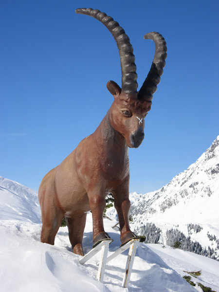 BK_Skisafari-62_jpg-1363518568