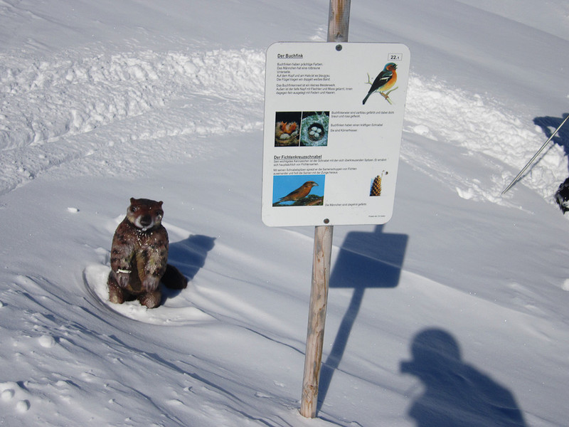 BK_Skisafari-65_jpg-1363518587
