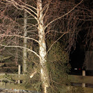 IMG_4595.JPG
