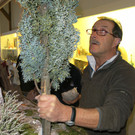 IMG_7006_JPG-1363536899