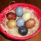 08 Osternest mit nat__rlich gef__rbten Ostereiern.JPG