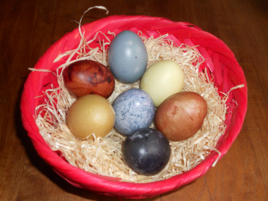 08 Osternest mit nat__rlich gef__rbten Ostereiern.JPG