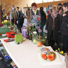DSC06551a.jpg