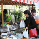 Baum 090_jpg-1363542502