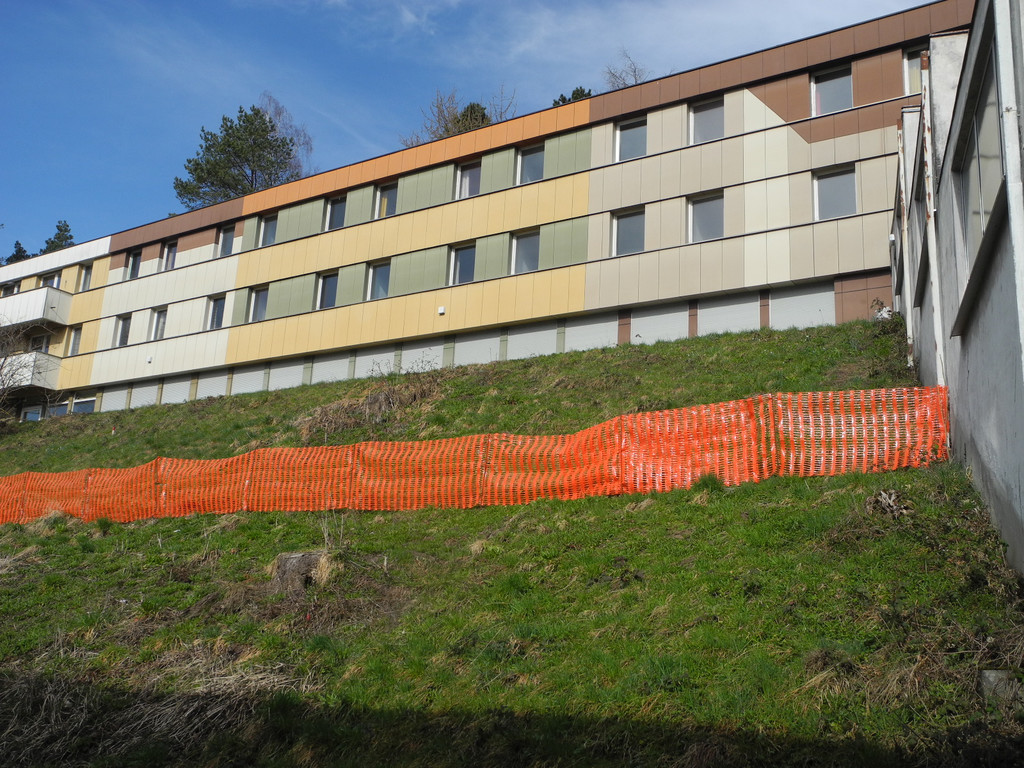 DSCN1159_JPG-1363544065