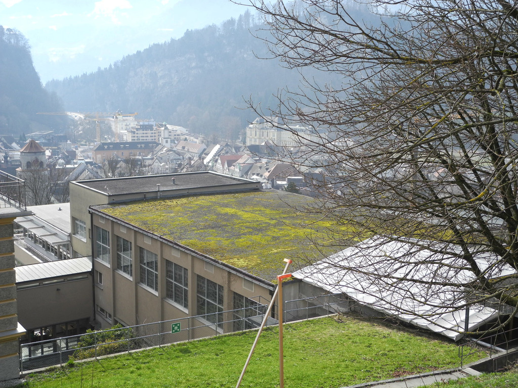 DSCN1172_JPG-1363544302