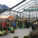 Augarten
