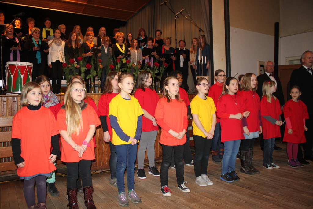 Gemeinschaftskonzert 2013 _13__jpg-1363558183