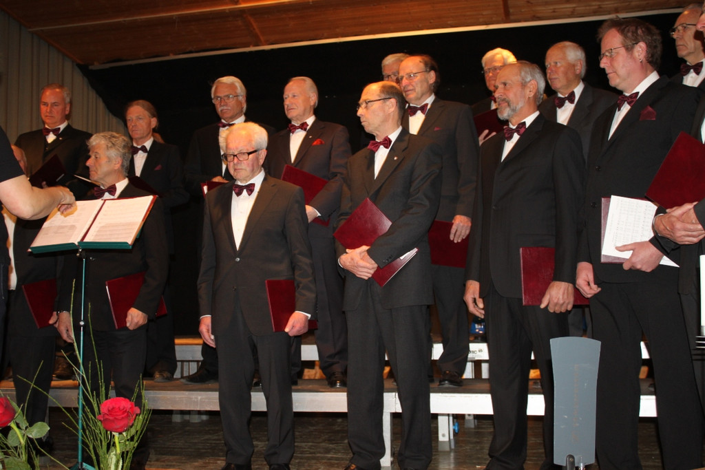 Gemeinschaftskonzert 2013 _29__jpg-1363558258