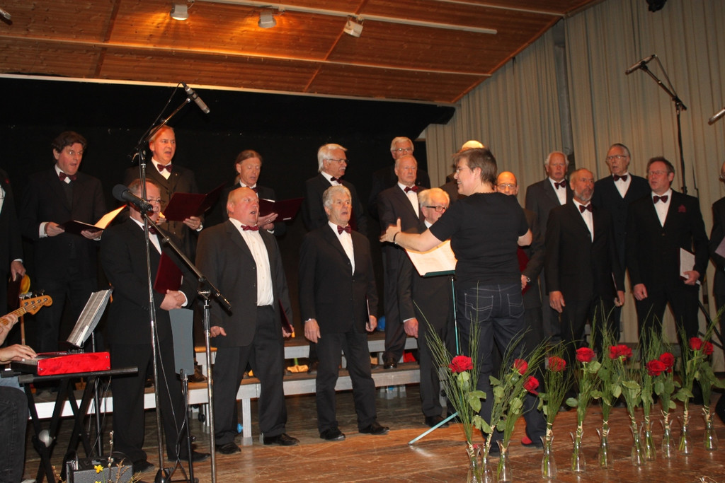 Gemeinschaftskonzert 2013 _30__jpg-1363558262