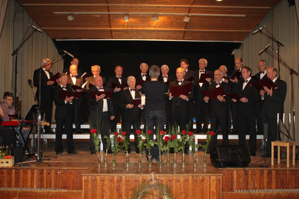 Gemeinschaftskonzert 2013 _31__jpg-1363558267
