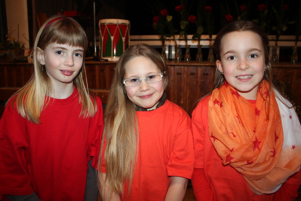 Gemeinschaftskonzert 2013 _4__jpg-1363558146