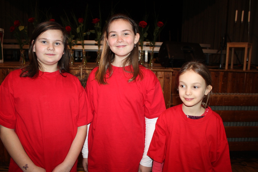 Gemeinschaftskonzert 2013 _5__jpg-1363558149