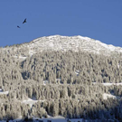 _DSC03400001_1.JPG