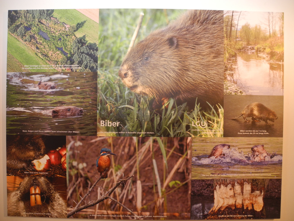 DSCN1366_JPG-1363588644