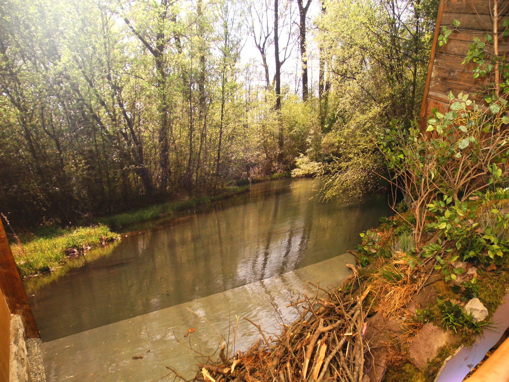 DSCN1380_JPG-1363588782