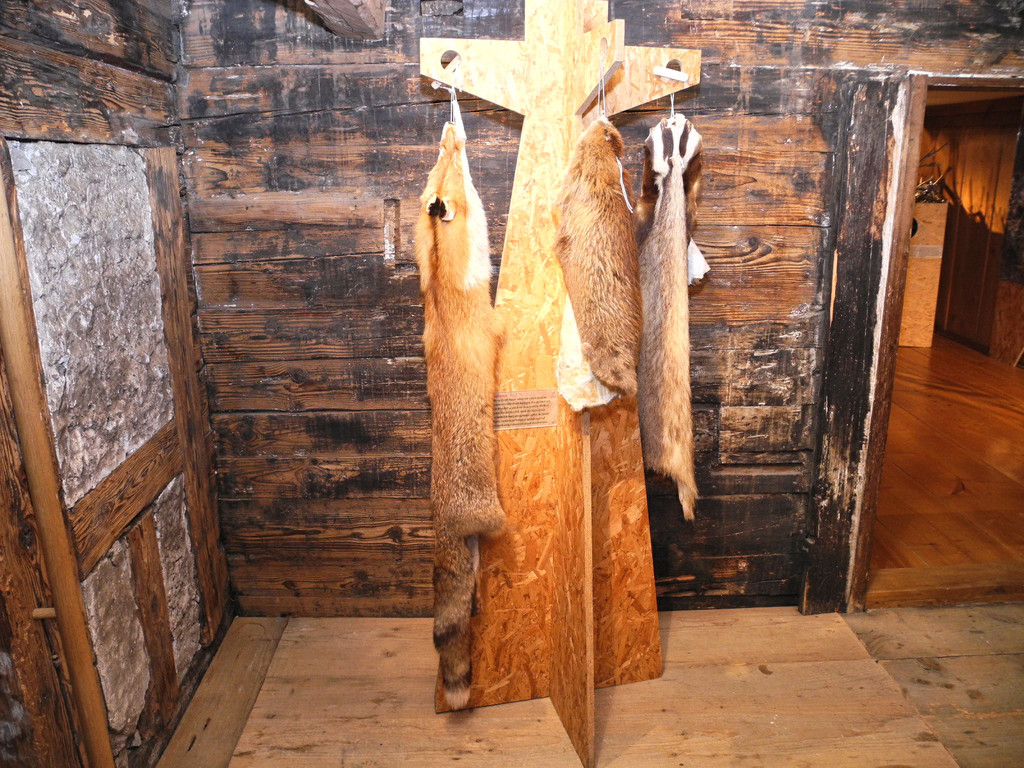 DSCN1382_JPG-1363588828