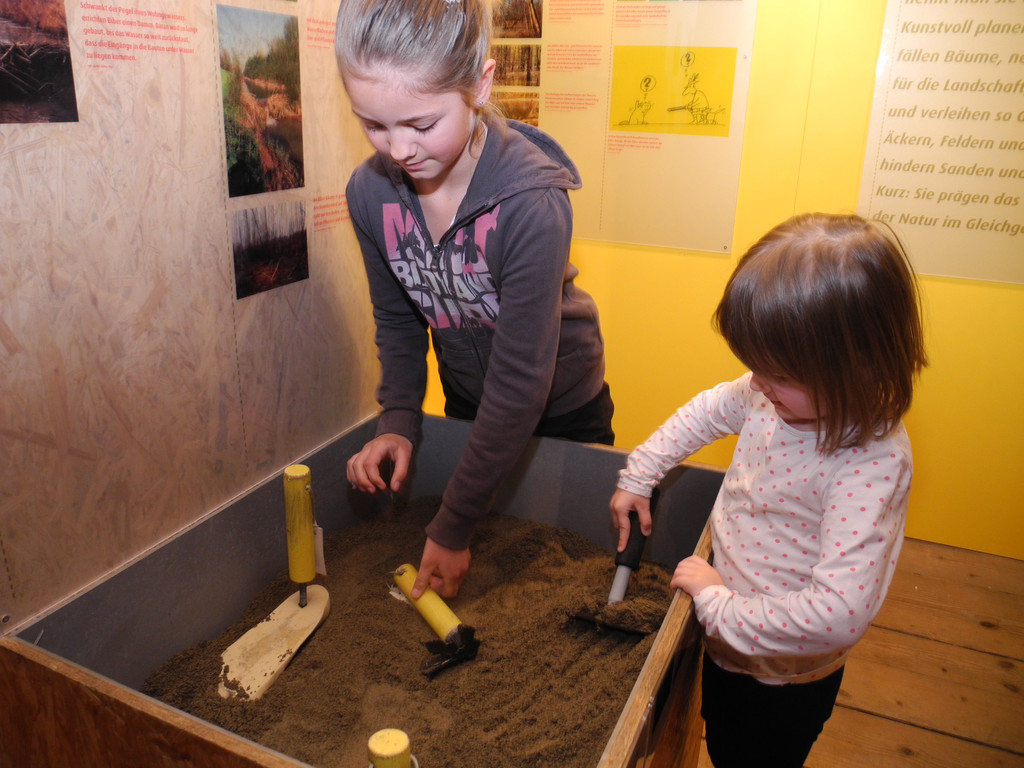 DSCN1384_JPG-1363588885