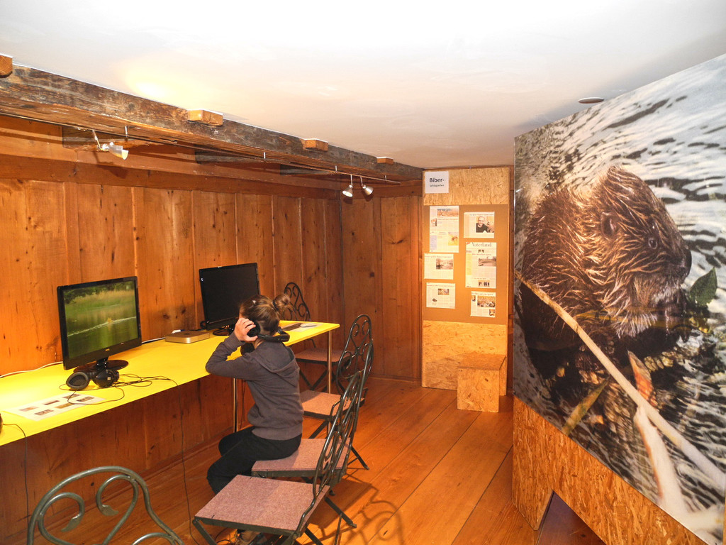 DSCN1395_JPG-1363589068