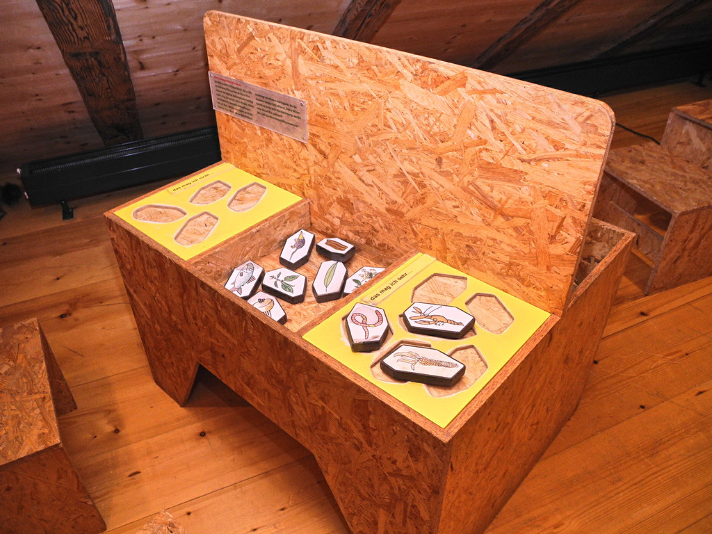 DSCN1406_JPG-1363589191