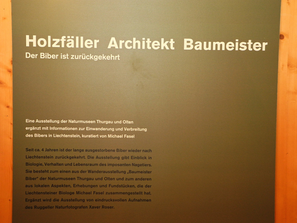 DSCN1379_JPG-1363588757