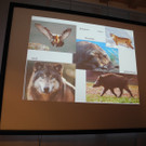 DSCN1375_JPG-1363588722