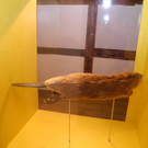 DSCN1383_JPG-1363588855