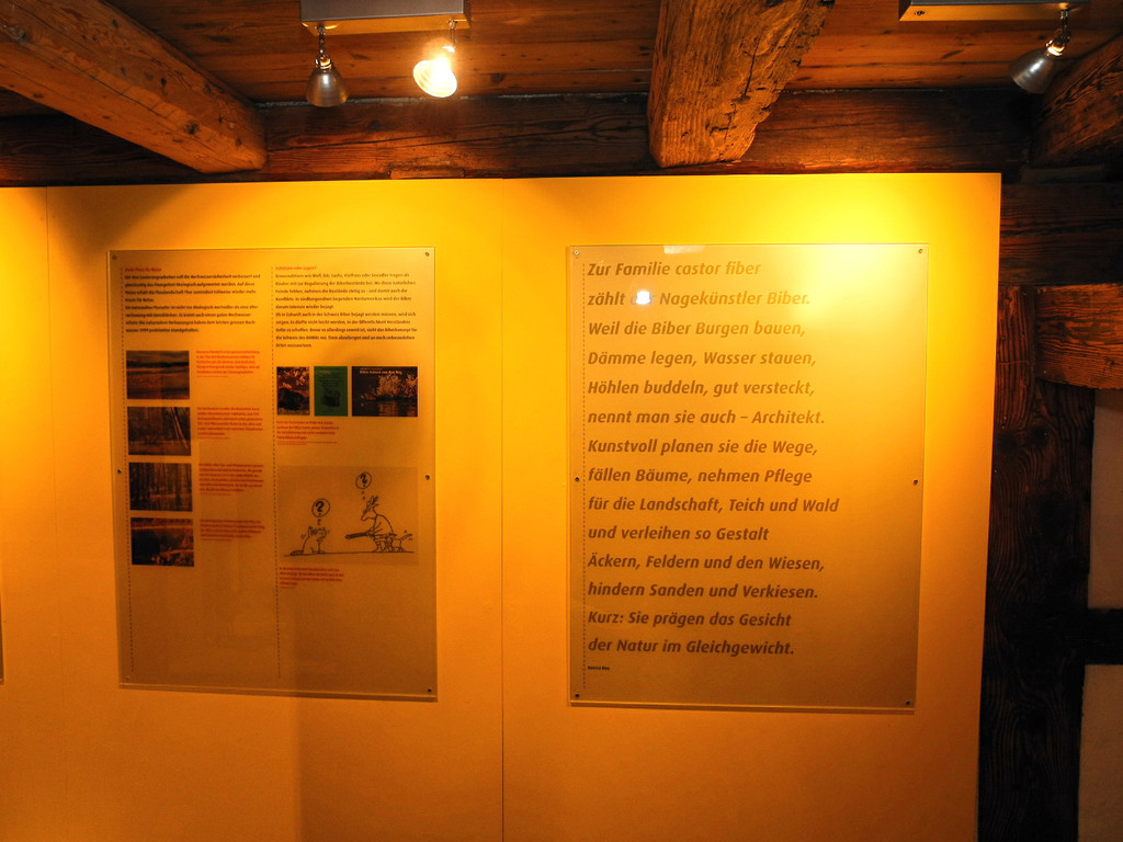 DSCN1388_JPG-1363588924